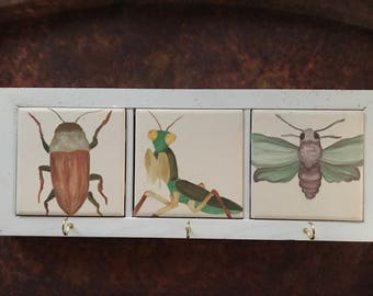 Bug Lover's Key Holder
