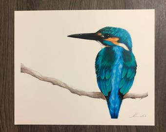 Kingfisher, 8.5"x11" PRINT - "Patience"