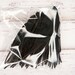 SECONDS 50 x Black Goose Feathers 4 - 6" Long - Great for kids crafts and art!
