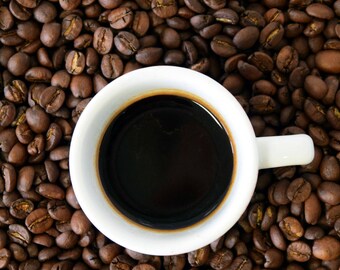 Freshly Roasted Coffee with Chicory, NOLA Blend, Louisiana Coffee, Gourmet Coffee, Ground Coffee, Coffee Gift, 12 oz Bag, Coffee Lovers