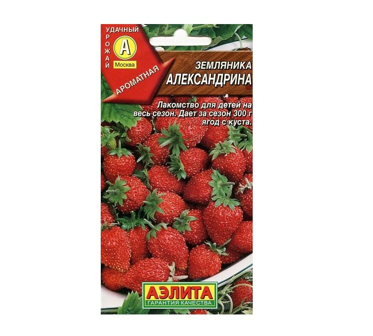 Купить Семена Клубники В Екатеринбурге