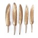 Gold Goose Feathers 4-6" Long - Hand painted - Great for weddings, birthdays, crafts, jewellery, DIY decorations + dream catchers!