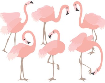 Flamingo Clipart Digital Vector Flamingo Bird Exotic