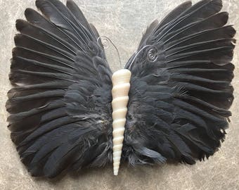 Feather wing with Turitela shell (from Costa Rica) butterfly hair clip