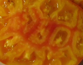 Striped German Tomato