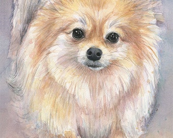 Pomeranian Watercolor Art Print, Pom Painting, Animal Painting, Pomeranian Art, Pomeranian Painting, Pom, Dog, Pom Puppy, Pomeranian Print