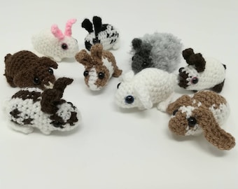 Mini rabbit, small bunny soft toy, stuffy, Dutch, lop, mini lop Holland lop, English spot, English lop, mini rex, Havana, lionhead