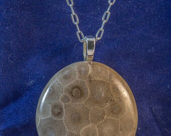 Petoskey Stone Necklace and Sterling Filled chain