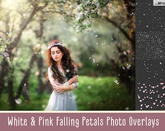 Falling White & Pink Petals Photo Overlays , Sakura Petals, Cherry Petals, Apple blossom petals overlays, PNG Petals, Transparent background