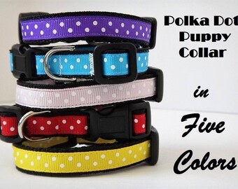 Puppy Dog Collar -Small Dog Collar - Polka Dot Dog Collar - Boy or Girl Dog Collar - Tiny Dog Collar