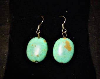Robin's Egg Blue Turquoise Earrings