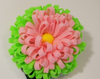 Spring Snaps, beautiful color combinations.