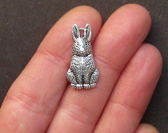 5 Rabbit Charms Antique Silver Tone - SC1399