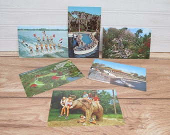 Six Vintage Cypress Gardens Postcards/1960s postcards