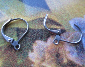 Stainless Leverback Earwires 6 Prs.