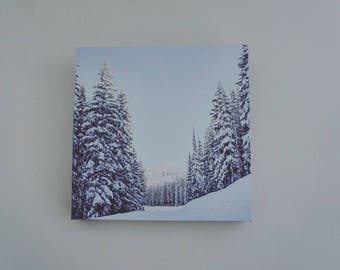 Canvas Print Wasatch Mountains