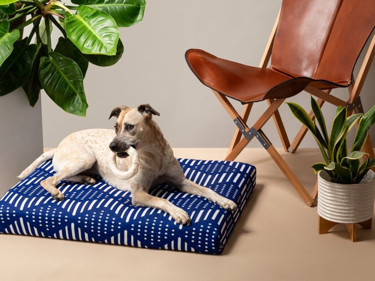 The Best Dog Beds, Reviewed by Pet Parents 2023 Etsy