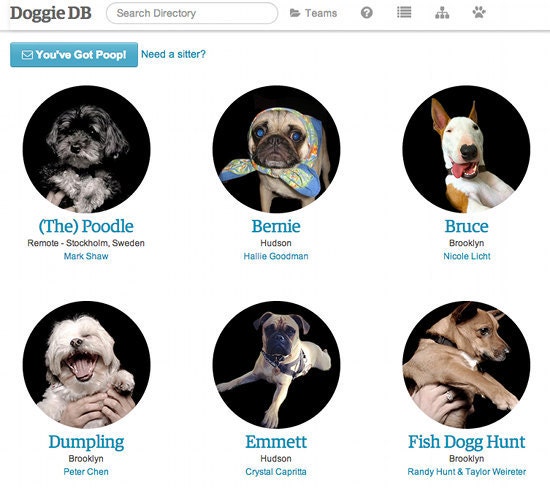 Doggie DB Doggie DB