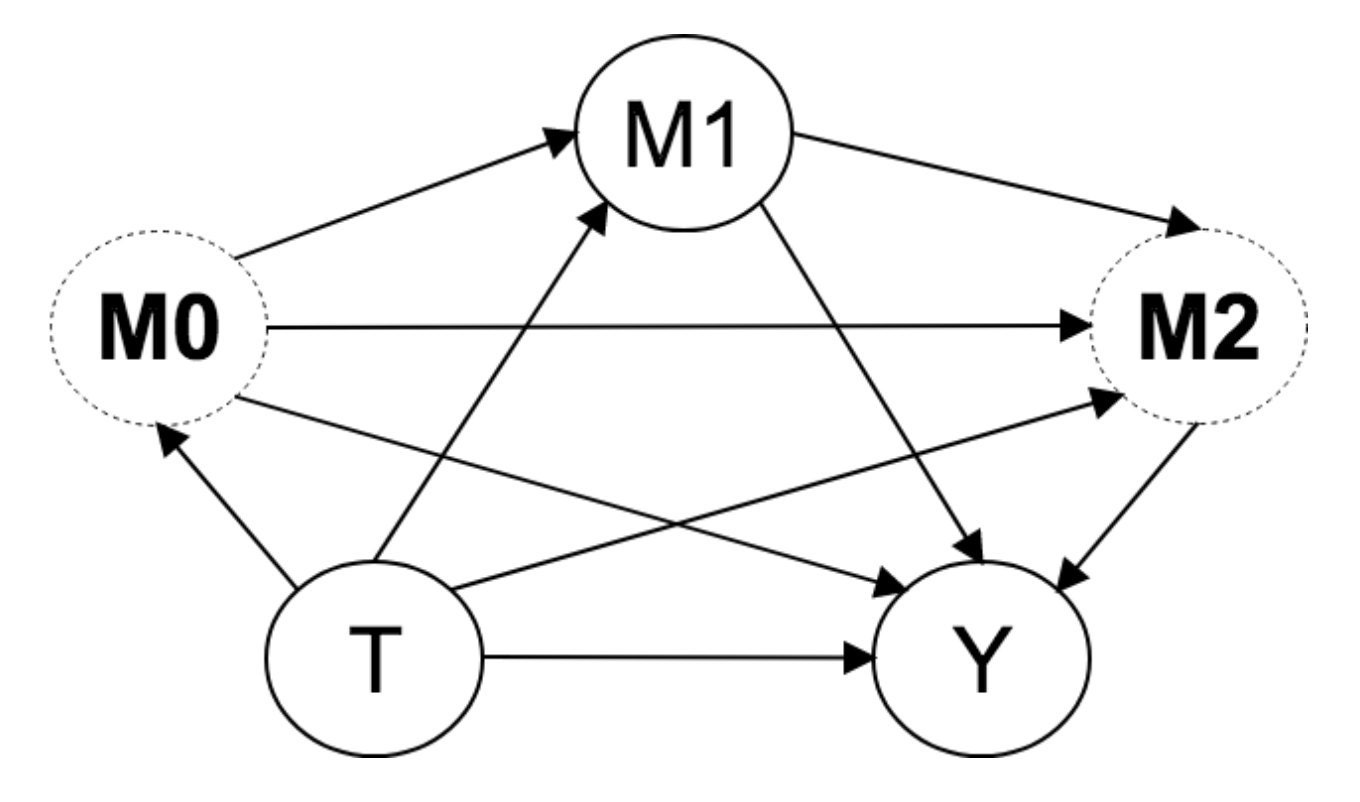 Figure 2: DAG of Multiple Mediators