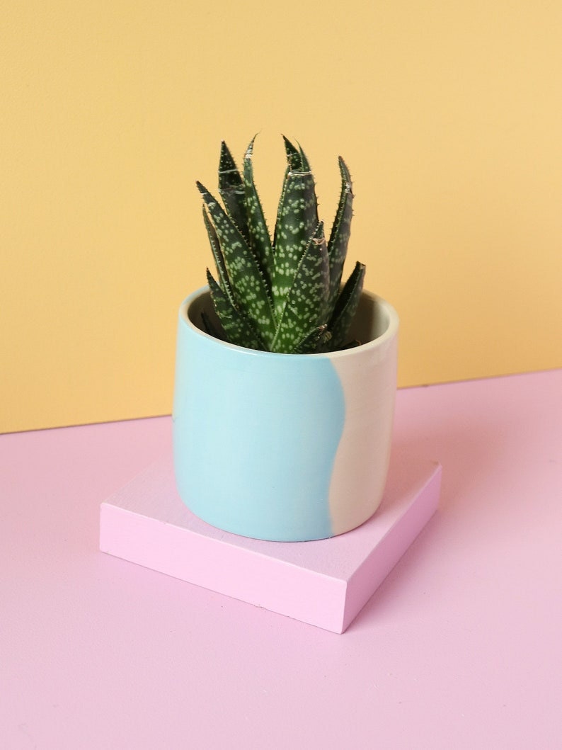 A blue and white painted ceramic planter sitting on a pink counter with an orange background.