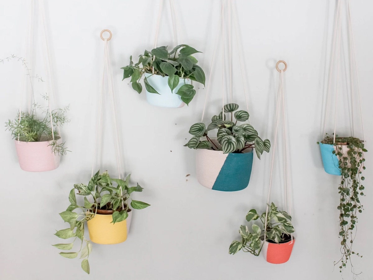 The Best Planters for Every Type of Plant The Best Planters for Every Type of Plant