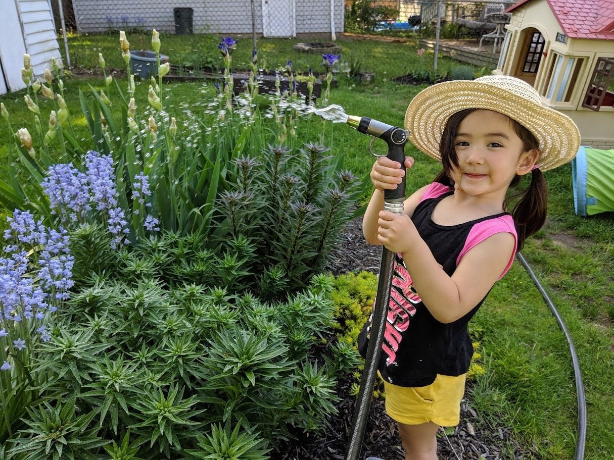 Echo of Nature garden