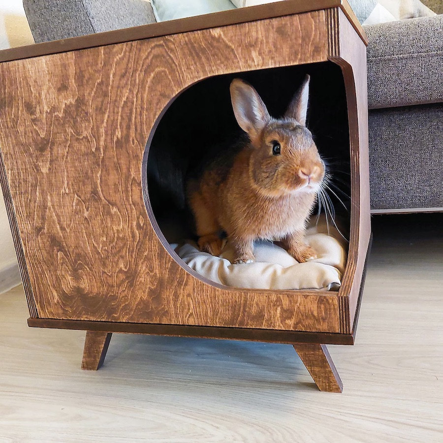 Modern bunny bed