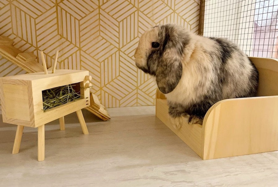 TV shaped bunny feeder