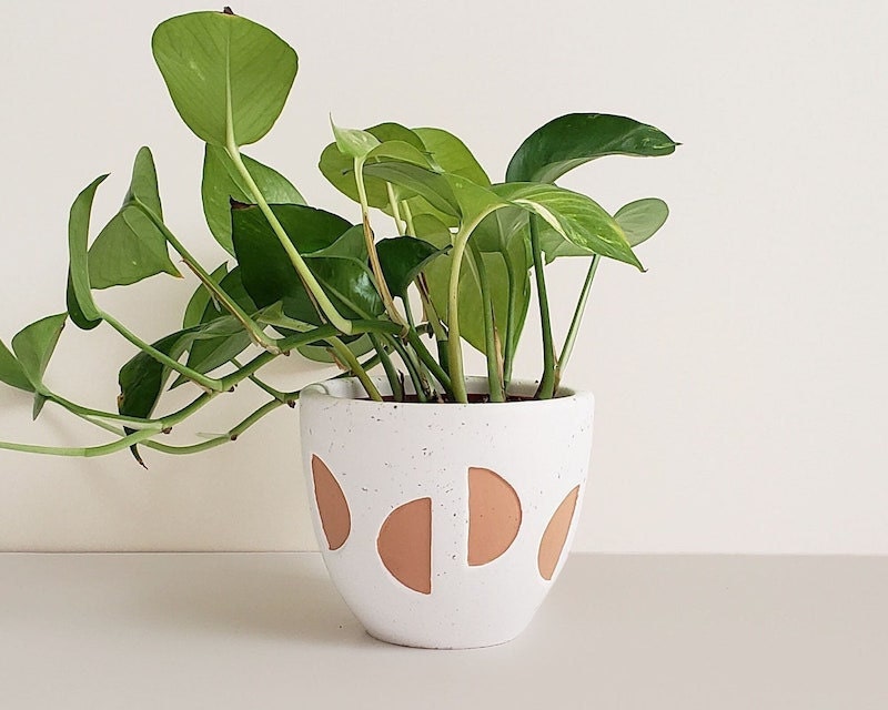Best cute white elephant gifts: handmade planter