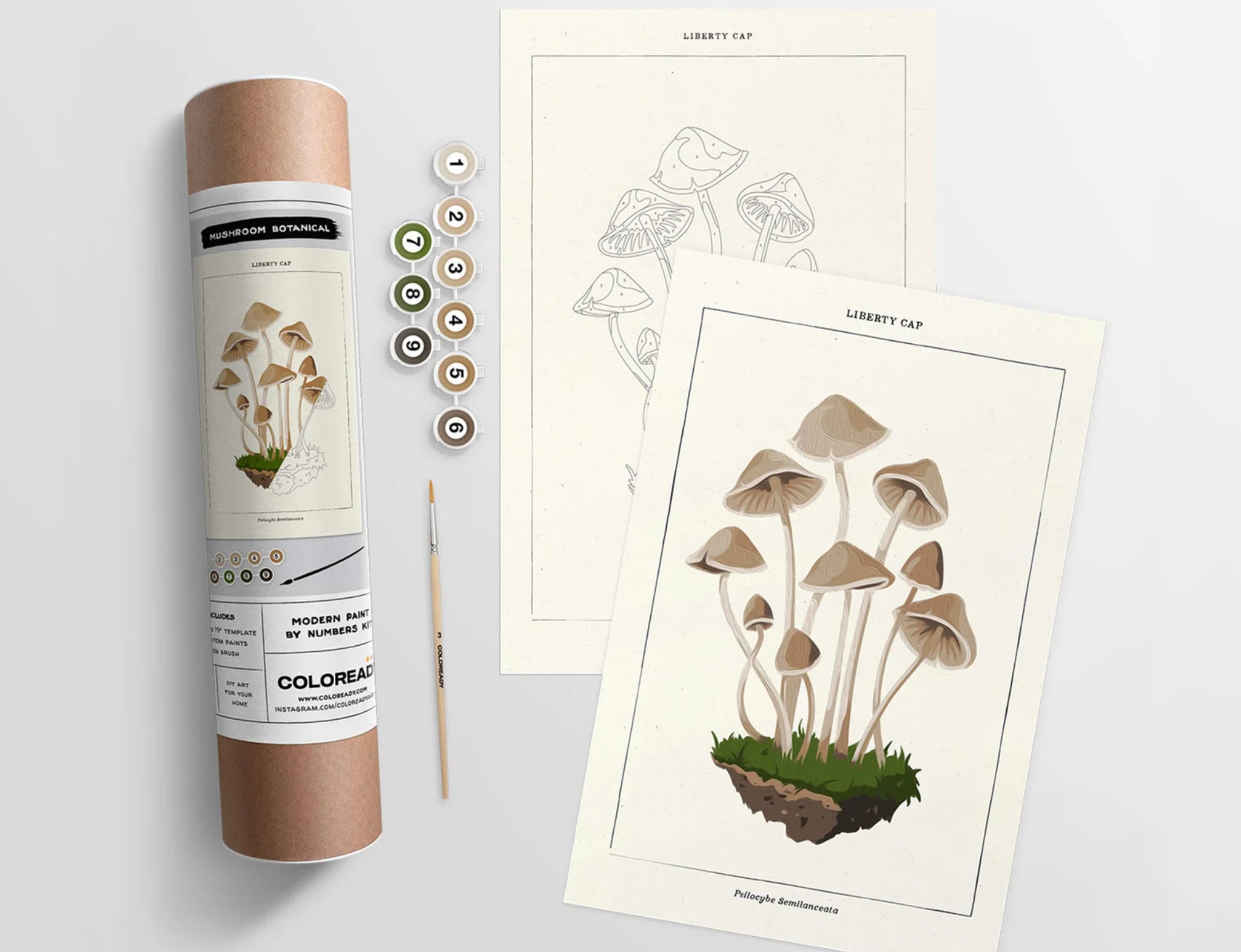 Marketplace Insights Early 2024 Holiday Trends