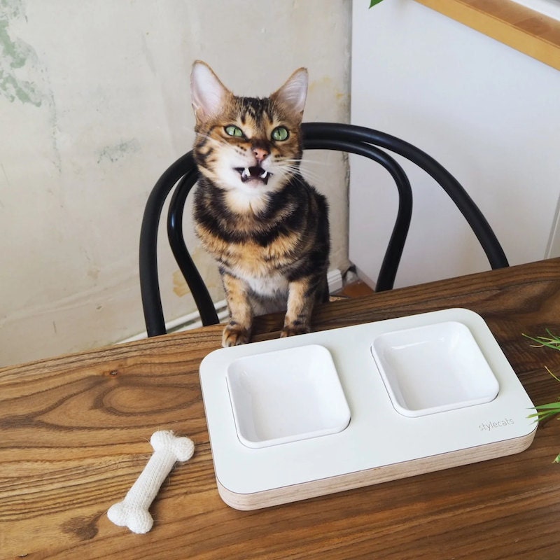 Birch wood cat food bowl