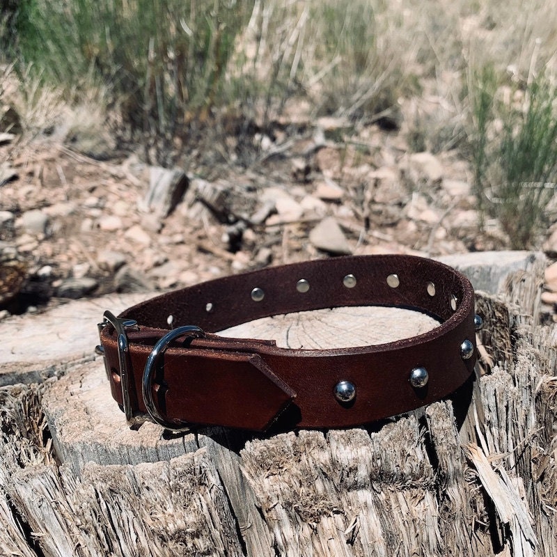 Round studded leather dog collar from Etsy