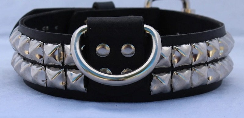 Best dog hotsell collars on etsy