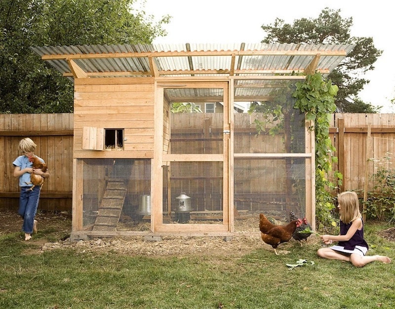DIY chicken coop from Etsy