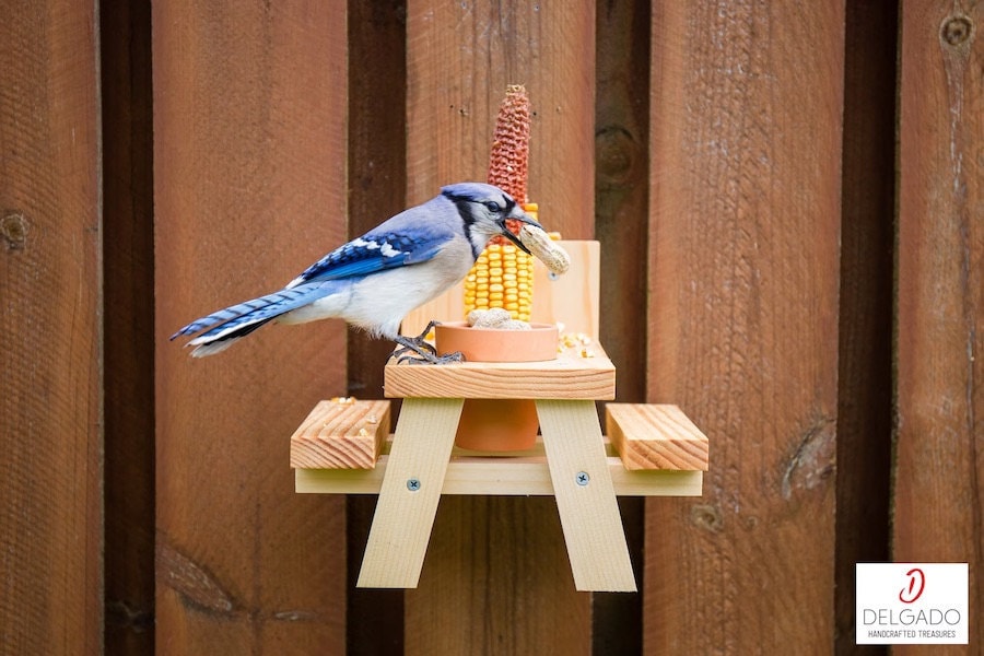 Backyard animal feeder