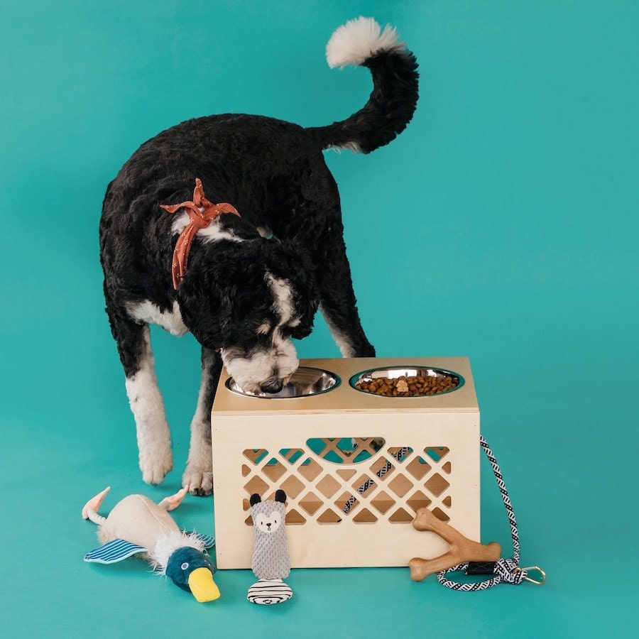 Apple crate dog feeder