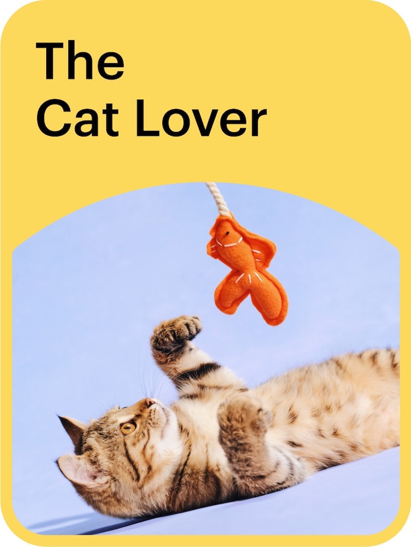 The Cat Lover