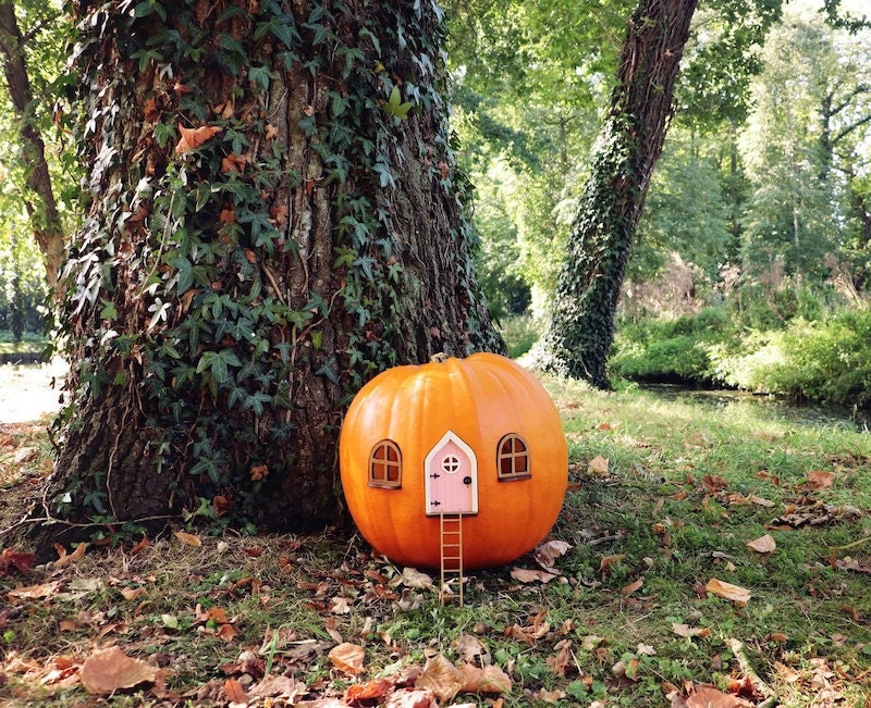 Pumpkin fairy house from Etsy