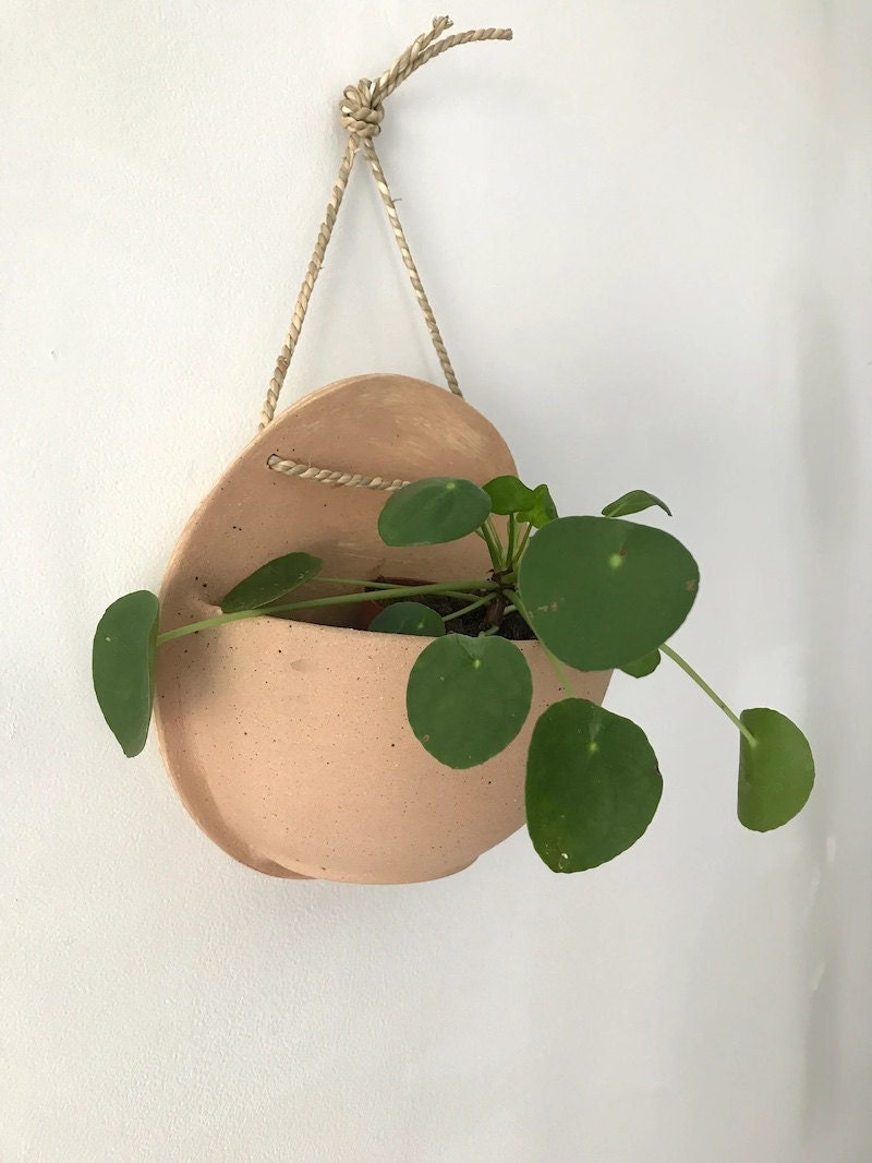 Best hanging ceramic planter