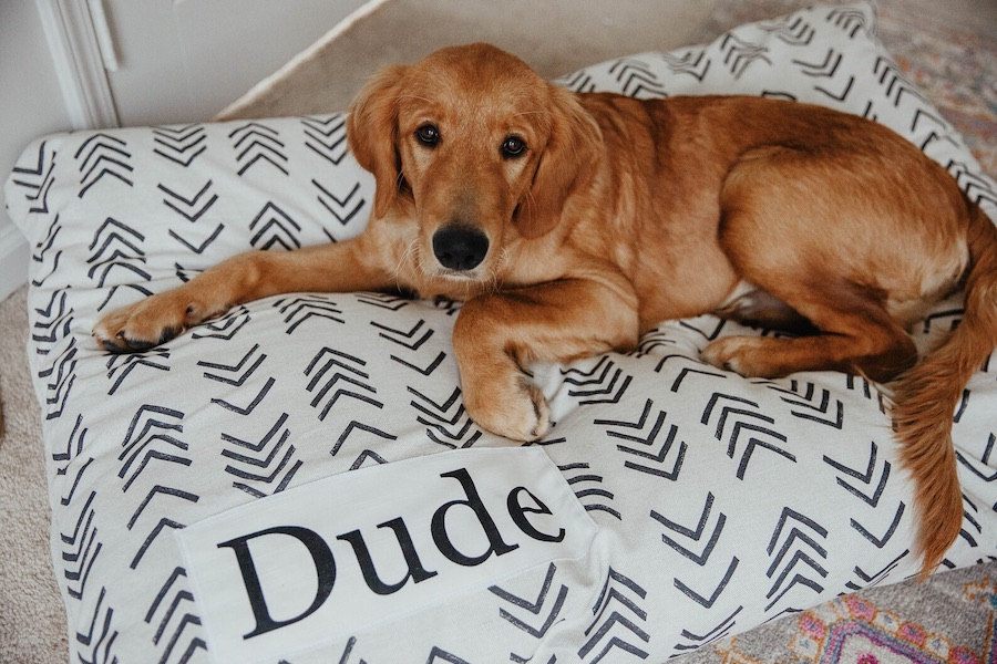 Personalized dog bed cover