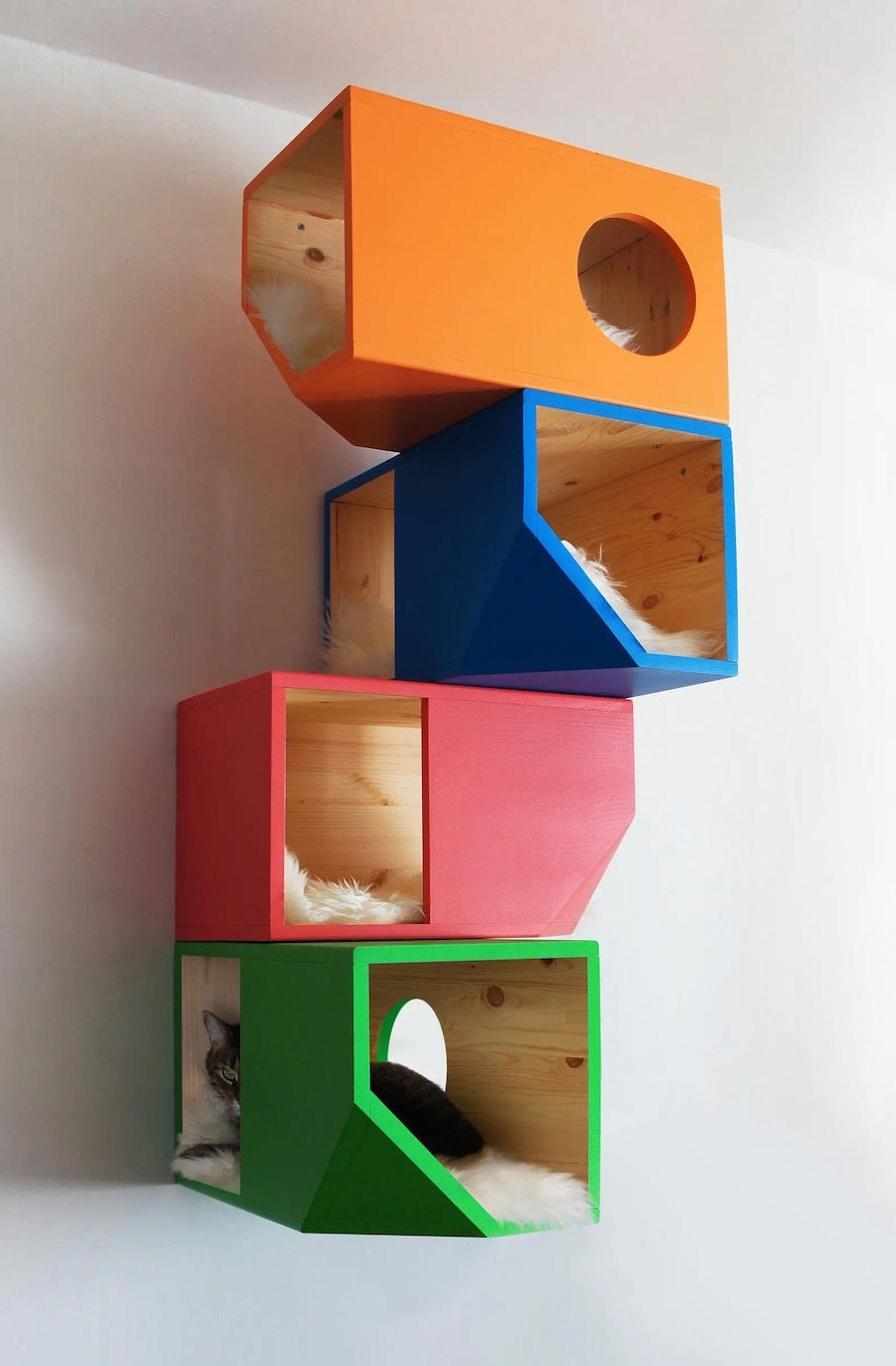 Colorful modular cat house