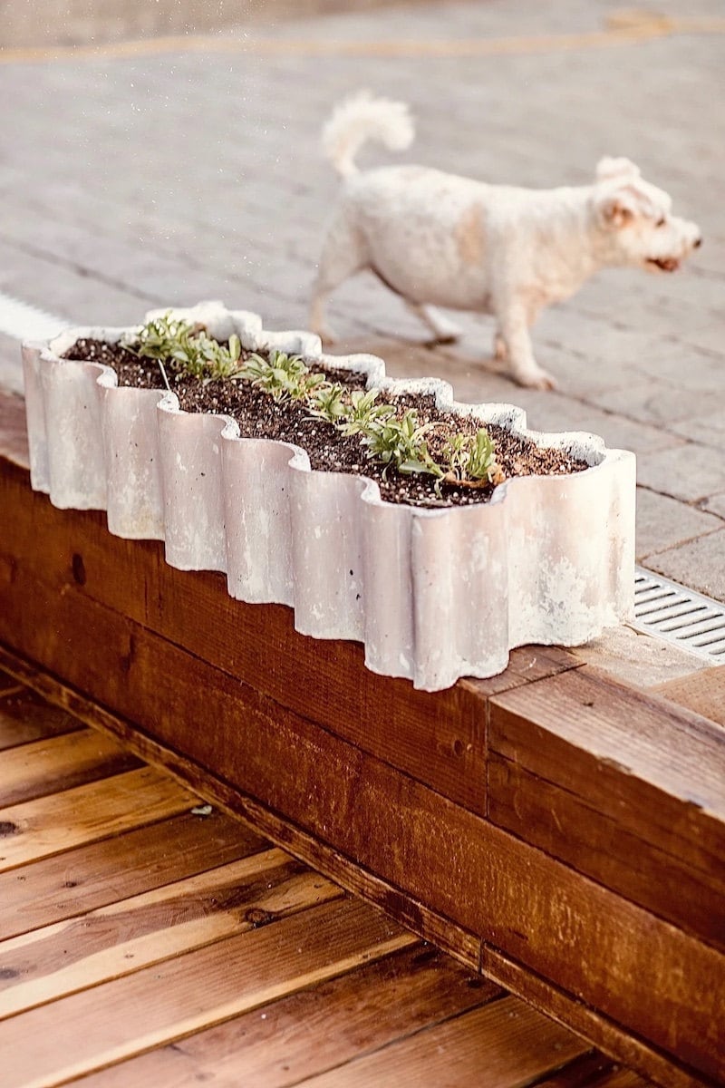 Concrete garden planter from Etsy