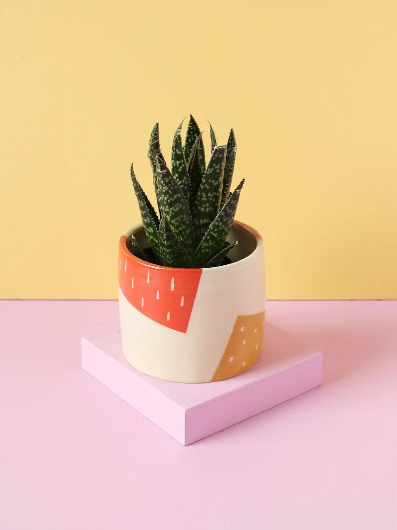 Colorful planter from Etsy