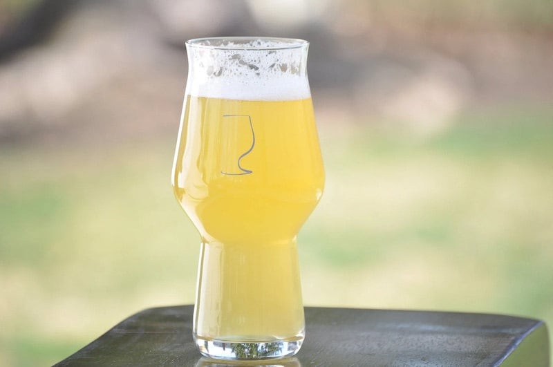 15 Best Beer Glasses for a Proper Pour