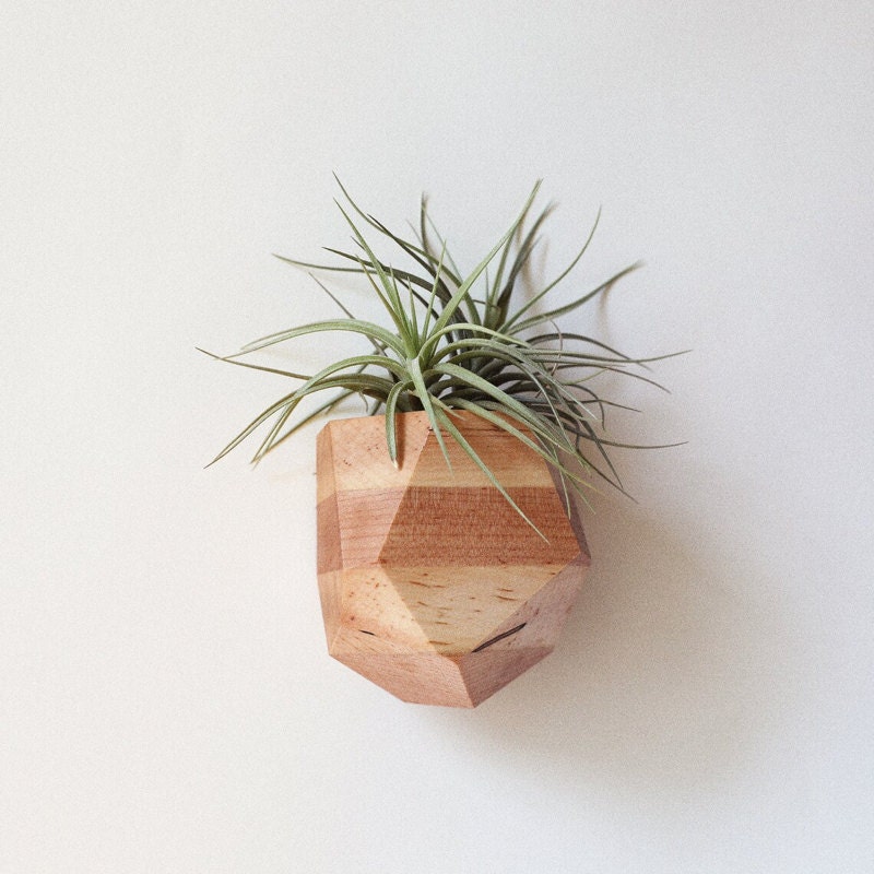 A maple geometric air plant holder from Untitled Co on Etsy