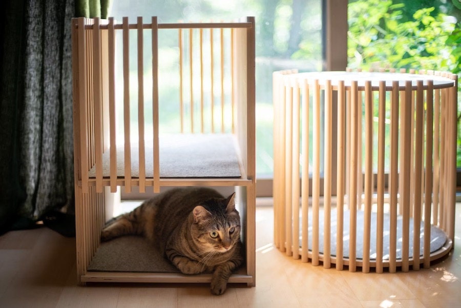 Modern wooden cat house