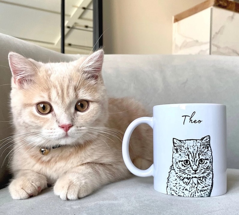 Unique Gifts for Cat Lovers