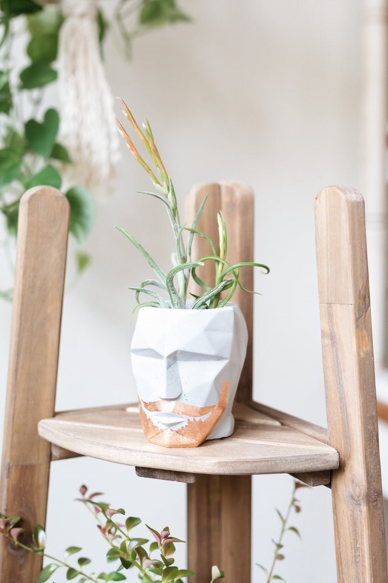 Bearded plant pot from Etsy Bearded plant pot from Etsy