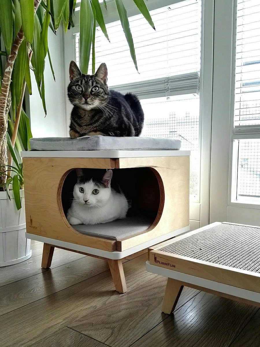 Retro cat house