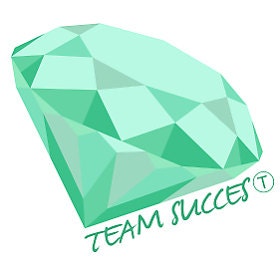 Team Succès T